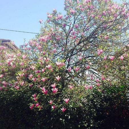Apartament La Magnolia Riccò del Golfo di Spezia Zewnętrze zdjęcie