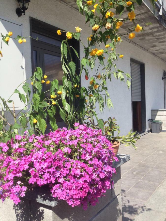 Apartament La Magnolia Riccò del Golfo di Spezia Zewnętrze zdjęcie