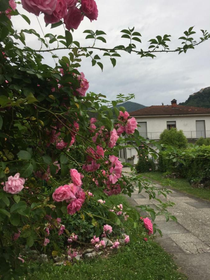 Apartament La Magnolia Riccò del Golfo di Spezia Zewnętrze zdjęcie