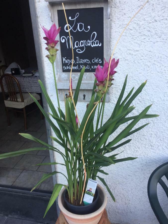 Apartament La Magnolia Riccò del Golfo di Spezia Zewnętrze zdjęcie